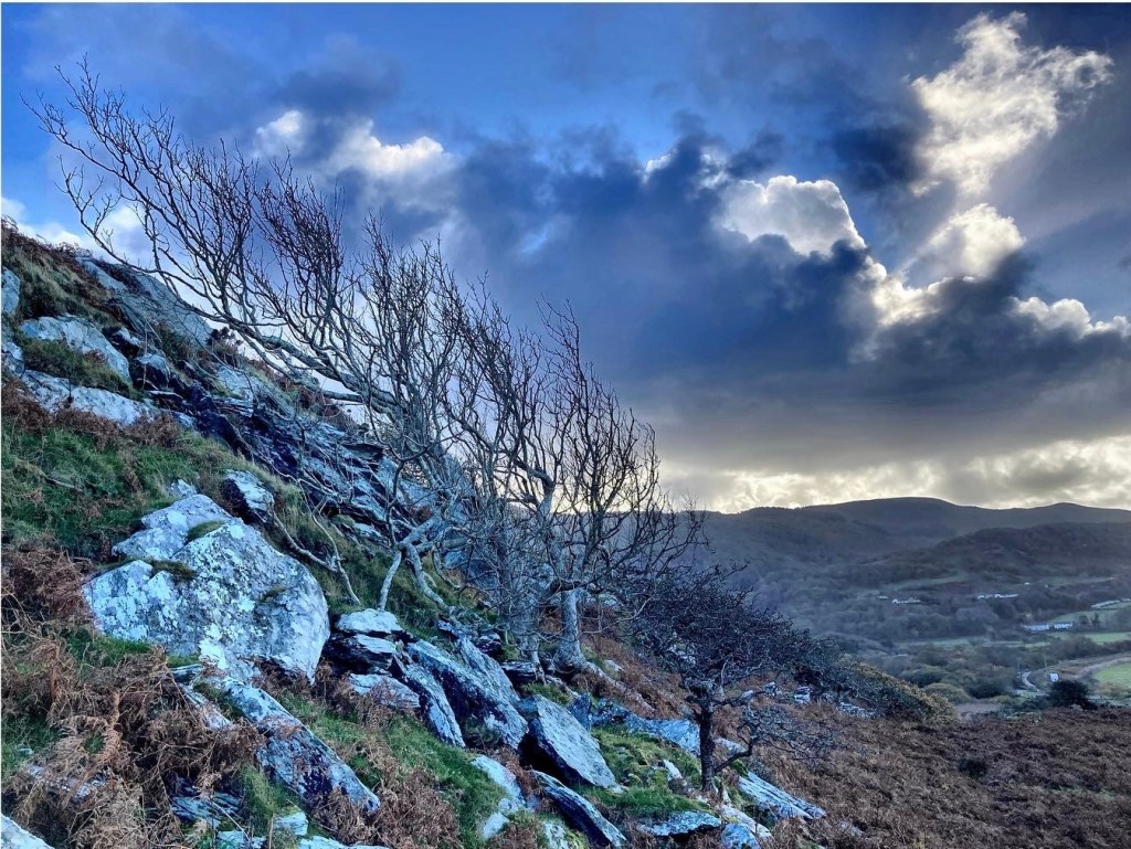 Mawddach Residency – DAY&nbsp;13