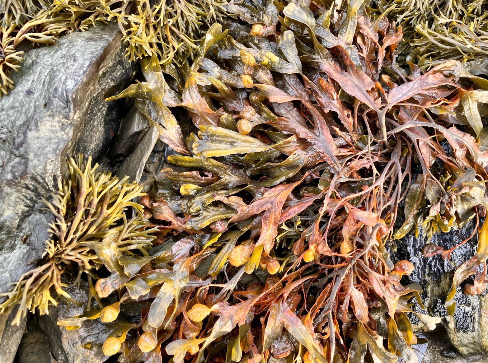 Mawddach Residency – DAY&nbsp;1