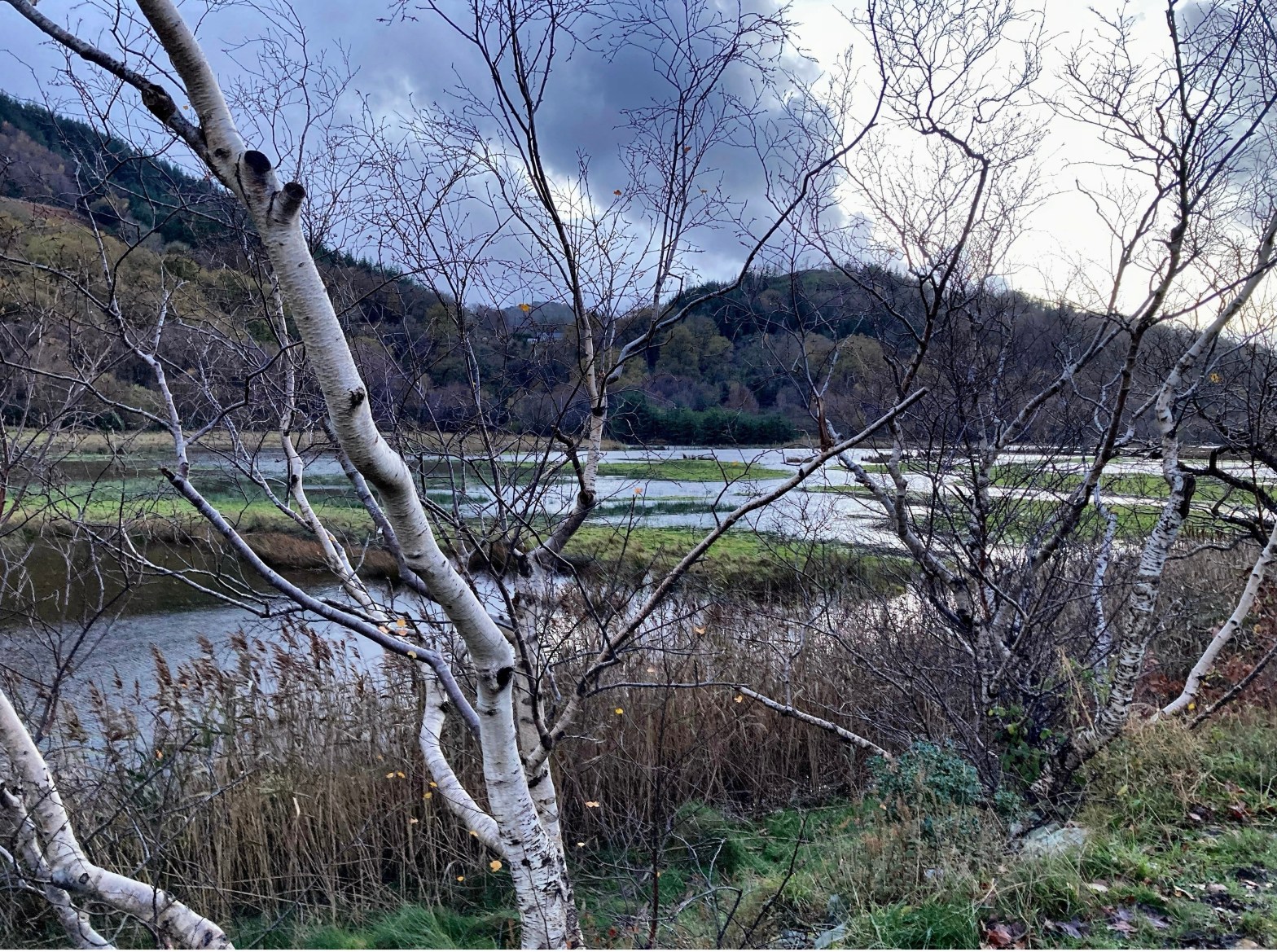 Mawddach Residency – DAY&nbsp;12