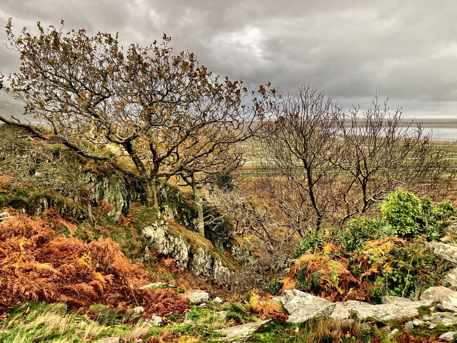 Mawddach Residency – DAY&nbsp;8