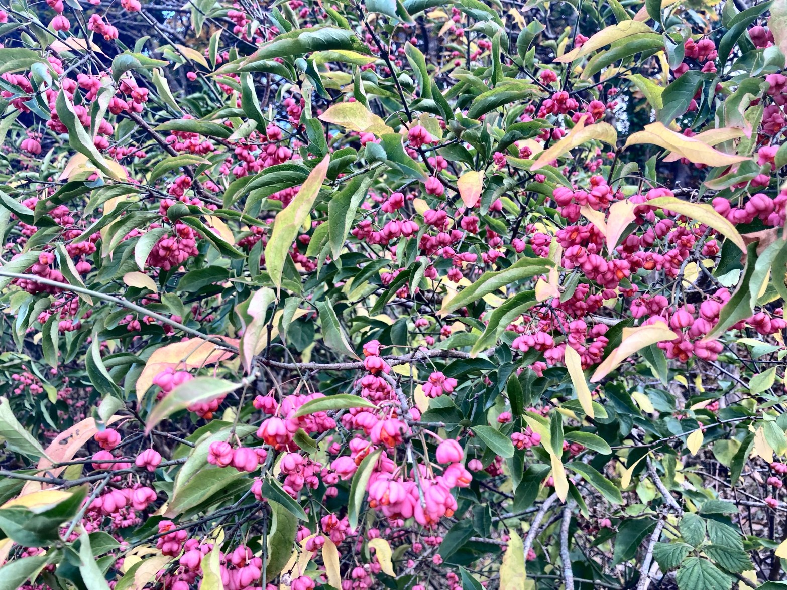 Mawddach Residency – DAY&nbsp;5