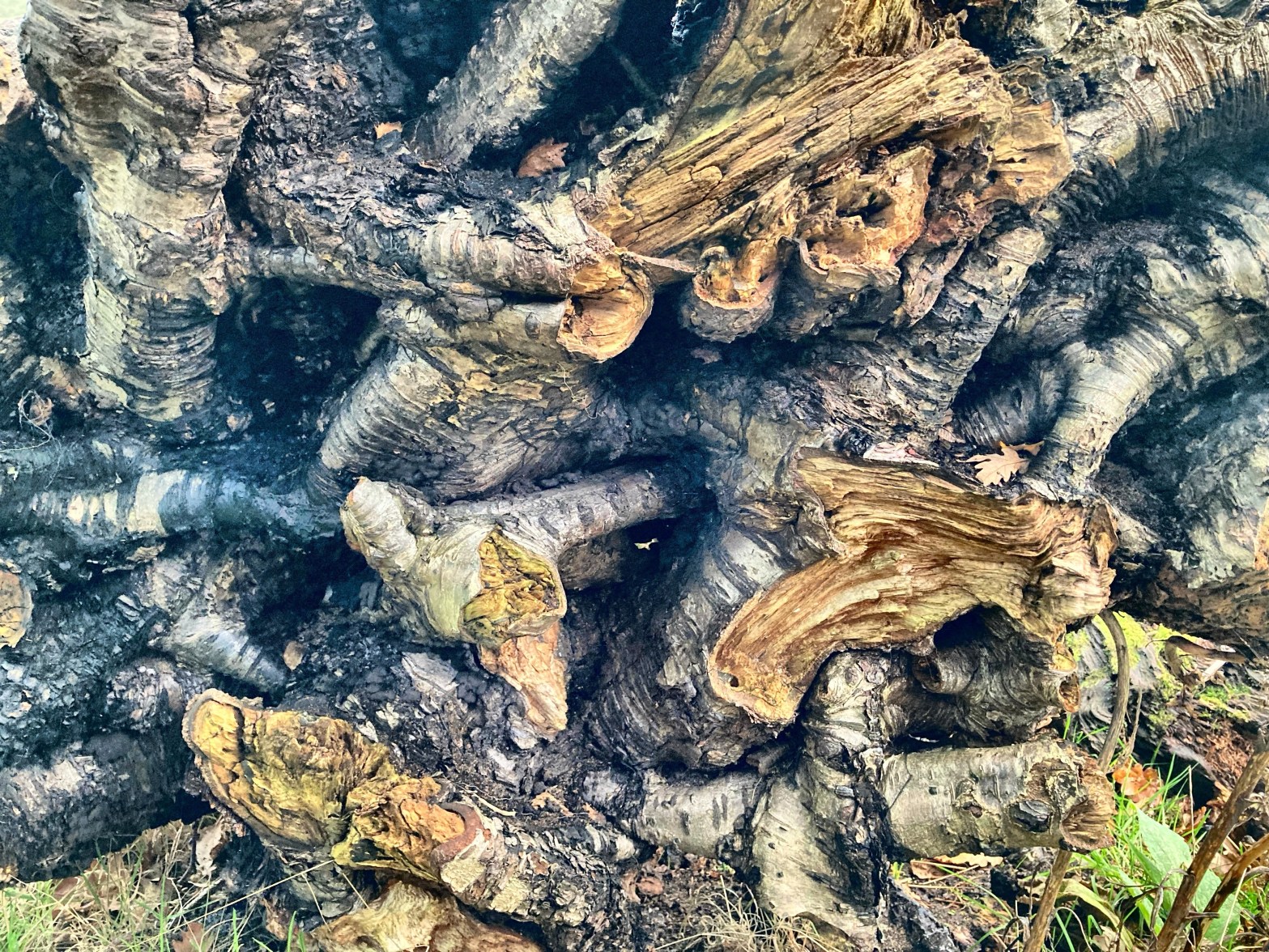 Mawddach Residency – DAY&nbsp;3