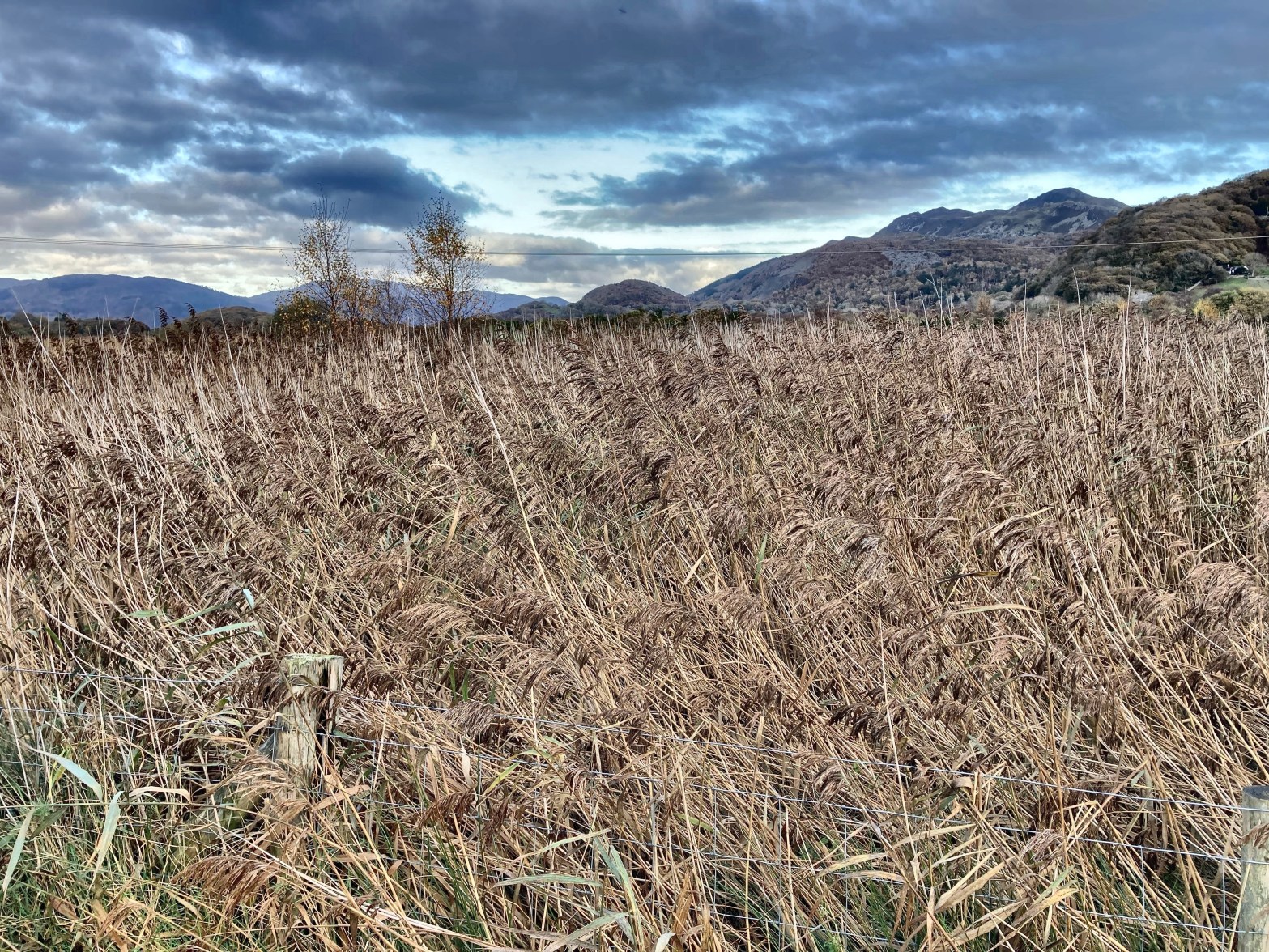Mawddach Residency – DAY&nbsp;11