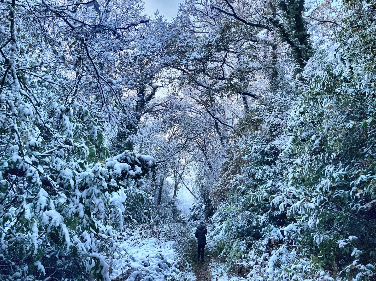 19/12/22 – Snow&nbsp;melt