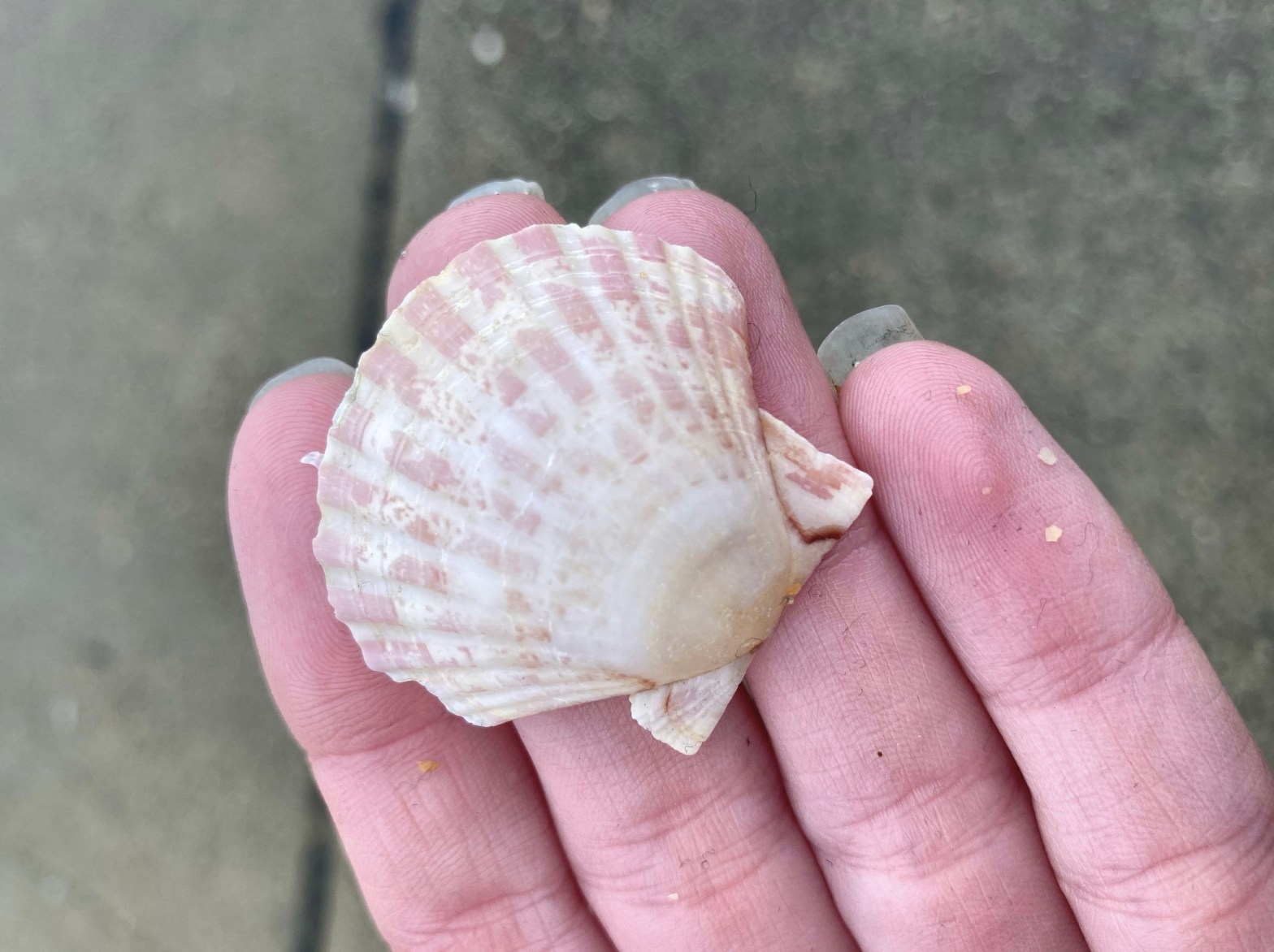 22/12/22 – Low&nbsp;Tide