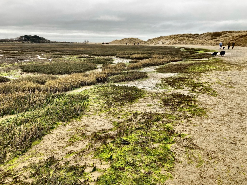 12/02/23 – Low tide at West&nbsp;Wittering