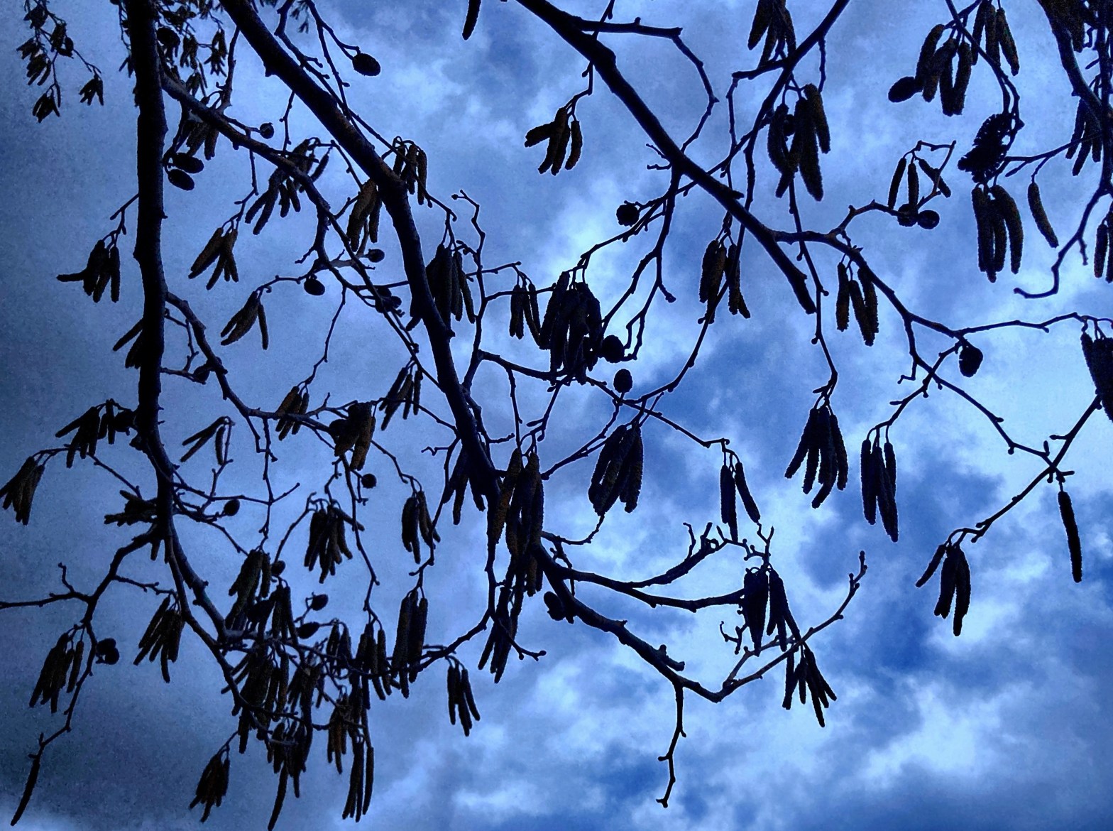 20/02/23 – Dusk in the city and sunset at the&nbsp;coast